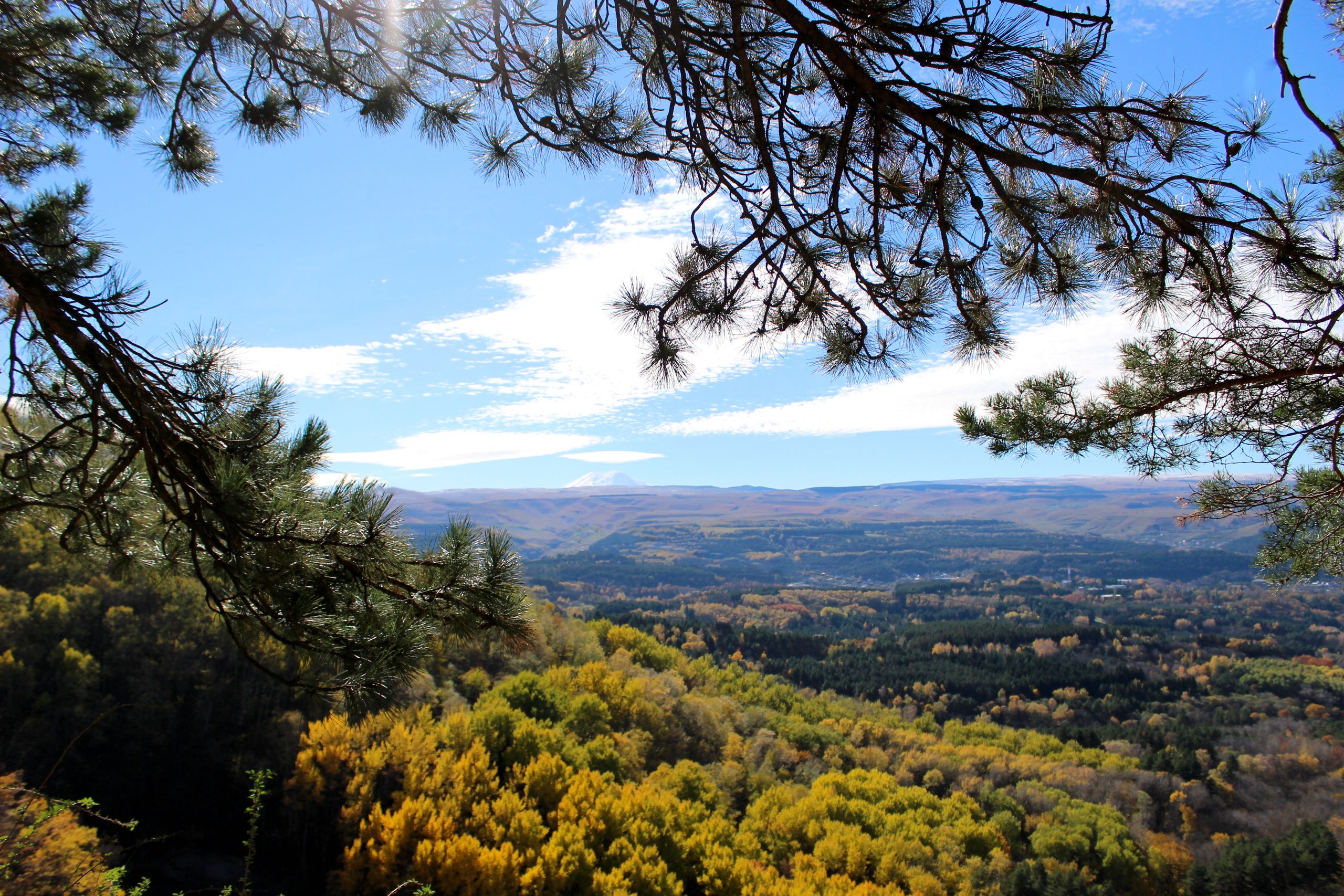 КАВКАЗ НА МАКСИМУМ