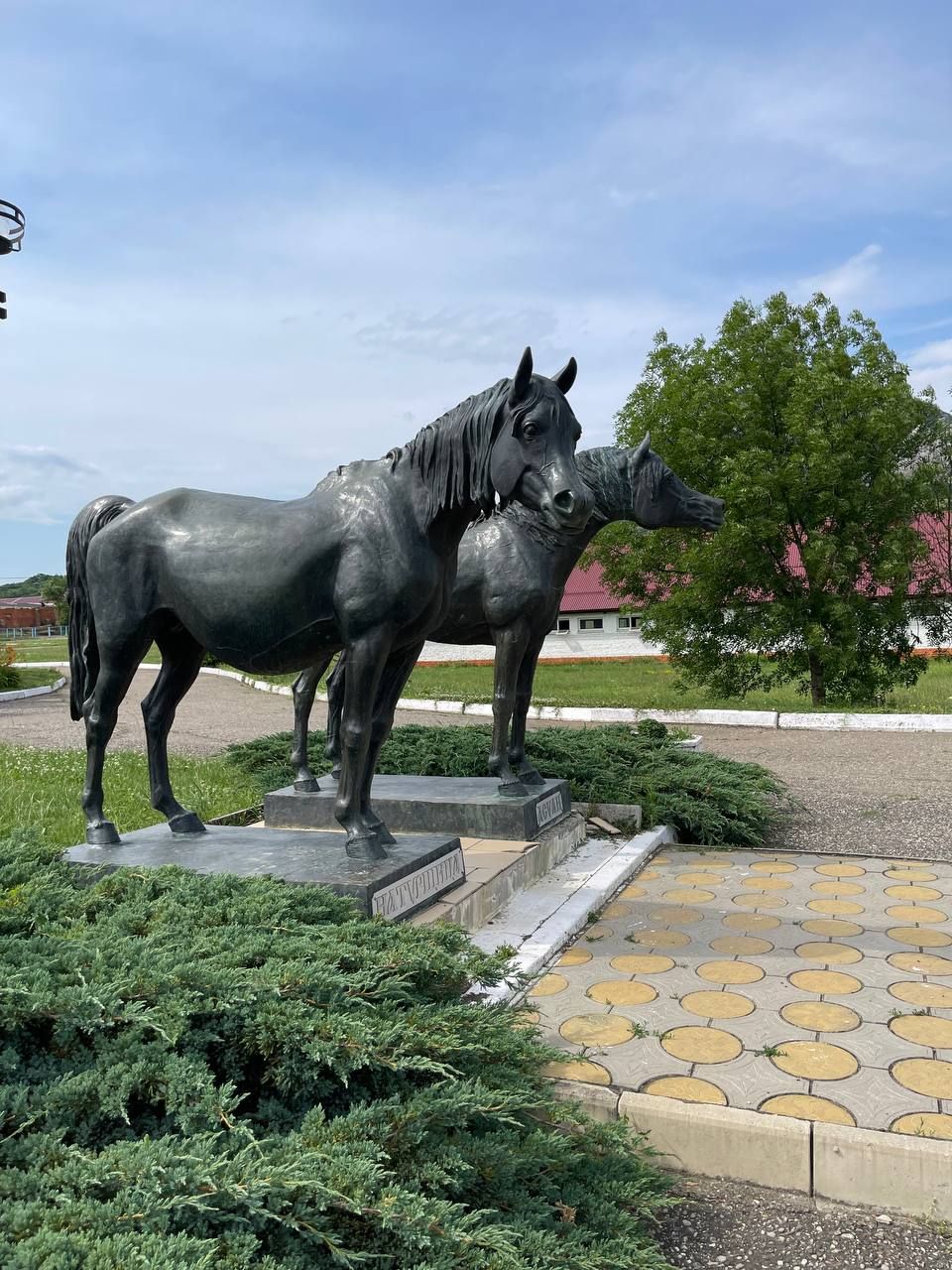 Экскурсия "Терский конезавод. Арабские скакуны"